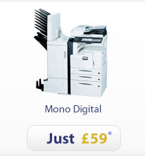 Mono Digital
